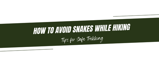 How to Avoid Snakes While Hiking: Tips for Safe Trekking